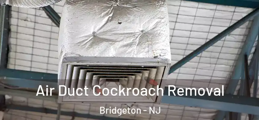  Air Duct Cockroach Removal Bridgeton - NJ