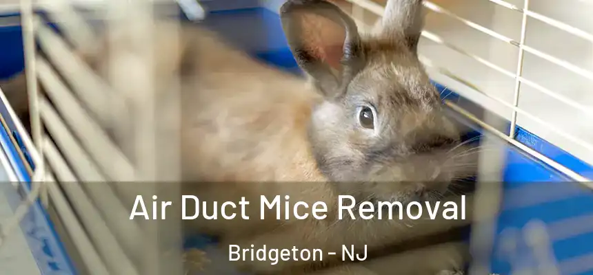 Air Duct Mice Removal Bridgeton - NJ