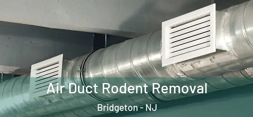  Air Duct Rodent Removal Bridgeton - NJ