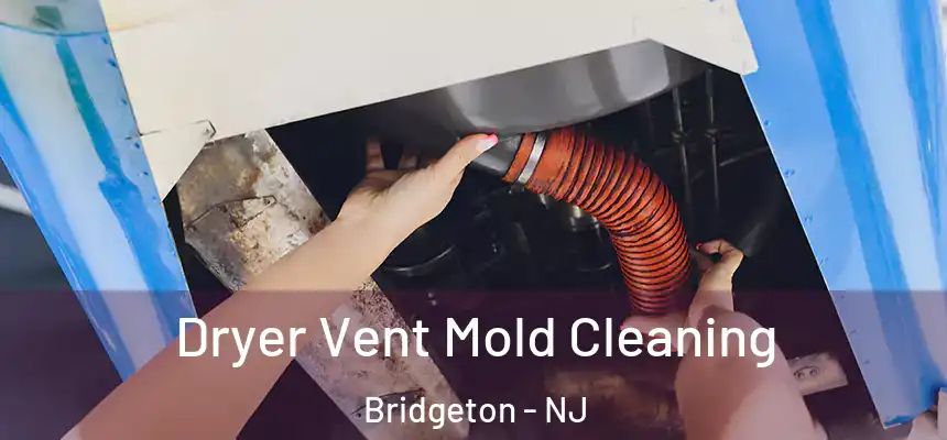  Dryer Vent Mold Cleaning Bridgeton - NJ