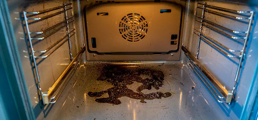 Our Dryer Vent Mold Cleaning Services in Bridgeton, NJ