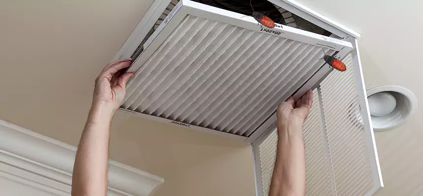 Our Insect Removal from Air Ducts Services in Bridgeton, NJ