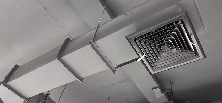 Our Pest Removal From Ducts Services in Bridgeton, NJ