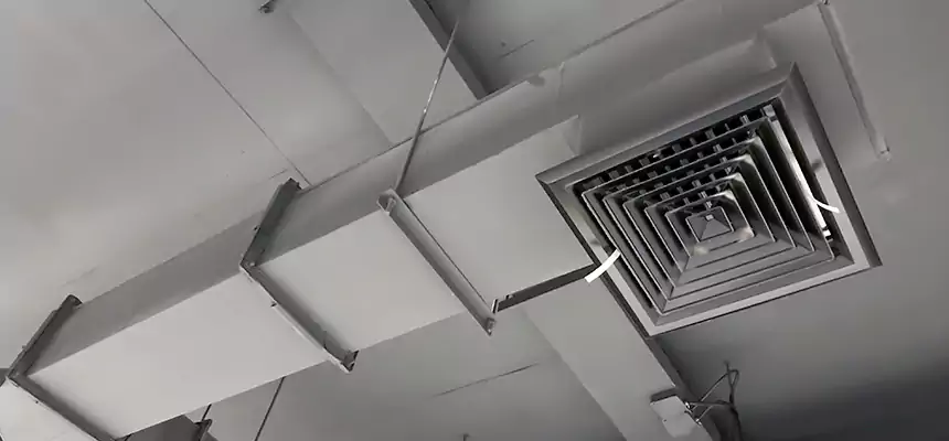 Our Rodent Droppings In Vents Services in Bridgeton, NJ