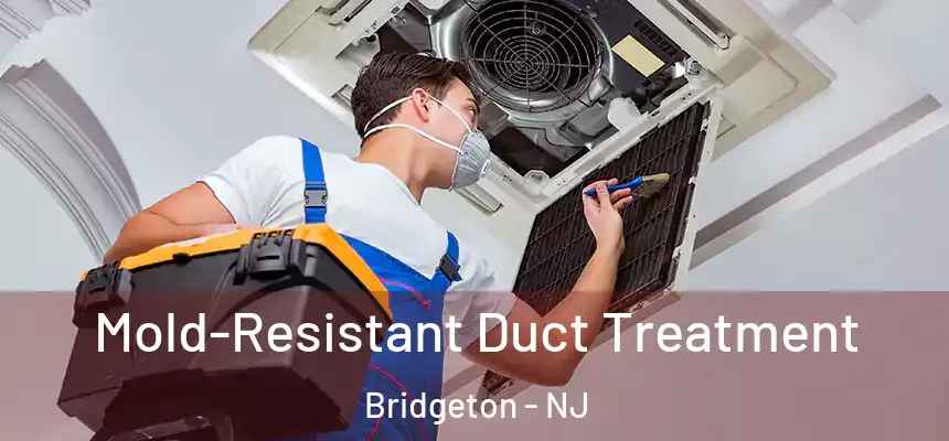 Mold-Resistant Duct Treatment Bridgeton - NJ