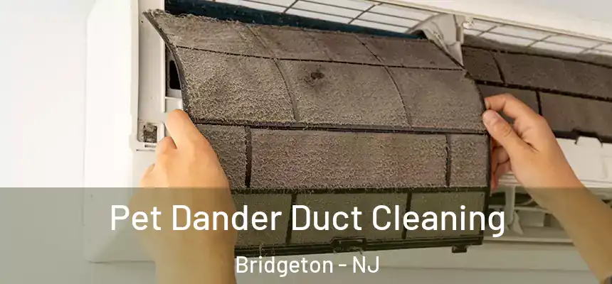  Pet Dander Duct Cleaning Bridgeton - NJ