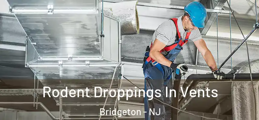 Rodent Droppings In Vents Bridgeton - NJ