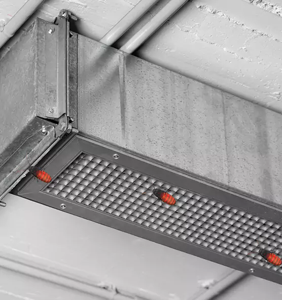 About Air Duct Cockroach Removal in Bridgeton, NJ