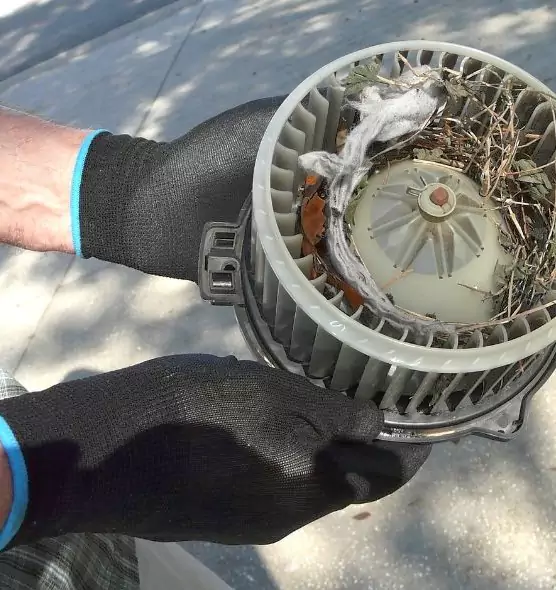 About Air Duct Mice Removal in Bridgeton, NJ