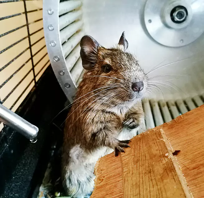 Why Homeowners & Businesses Trust Us Bridgeton, NJ